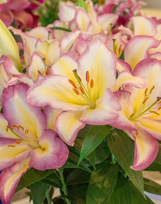 Превью изображения