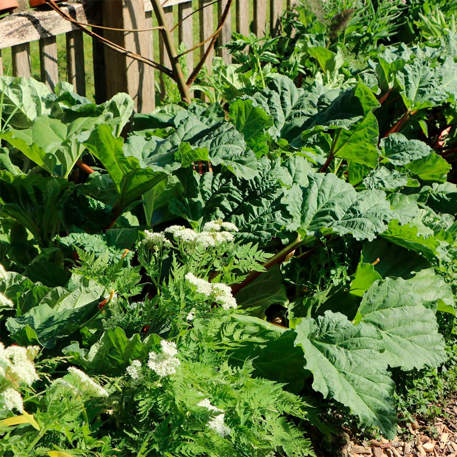 Превью изображения