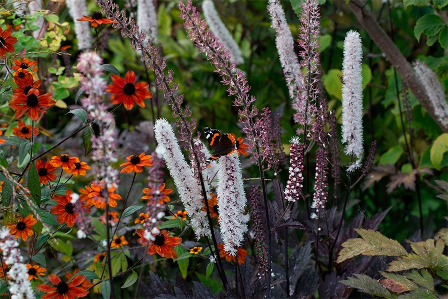 Превью изображения