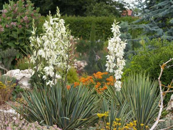 Превью изображения