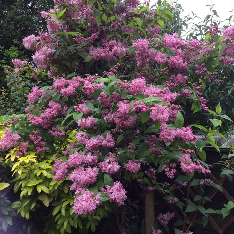 Превью изображения