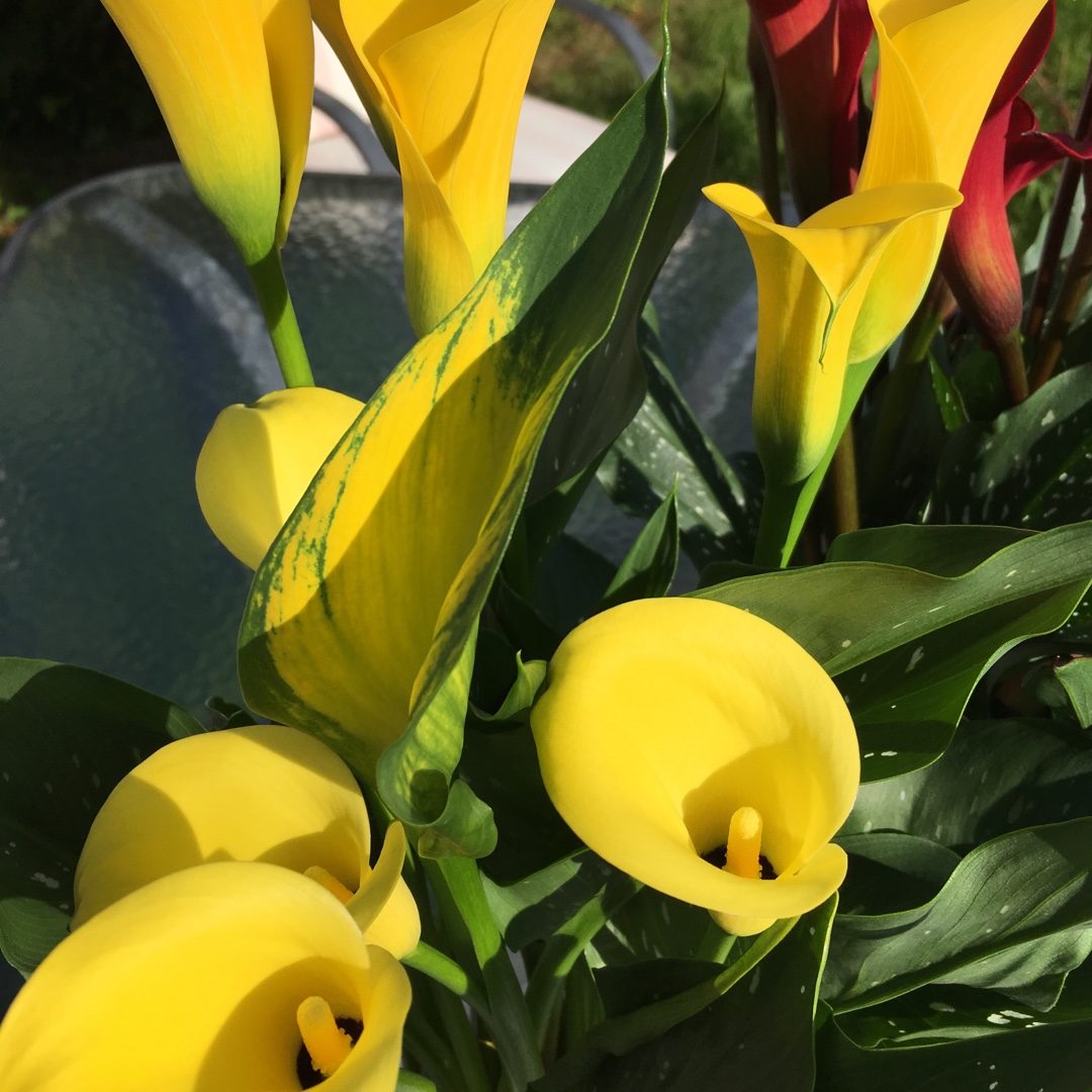 Превью изображения