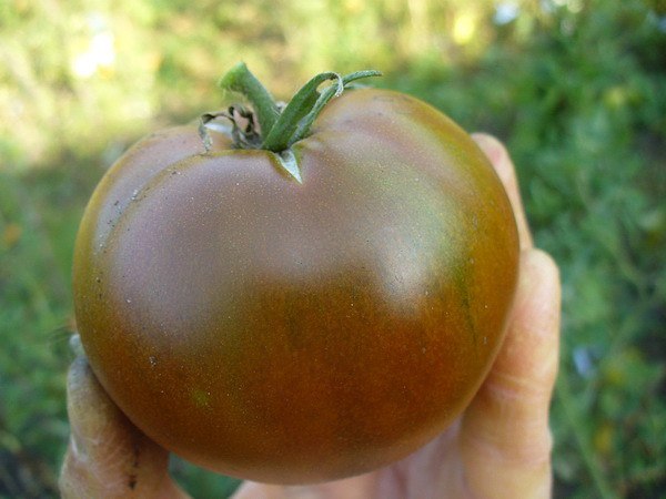 Превью изображения