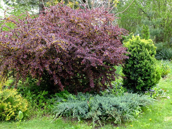 Превью изображения