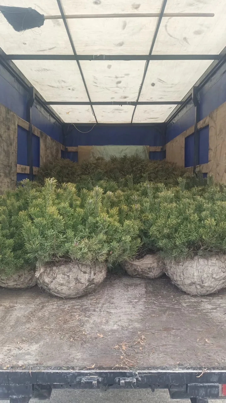 Превью изображения