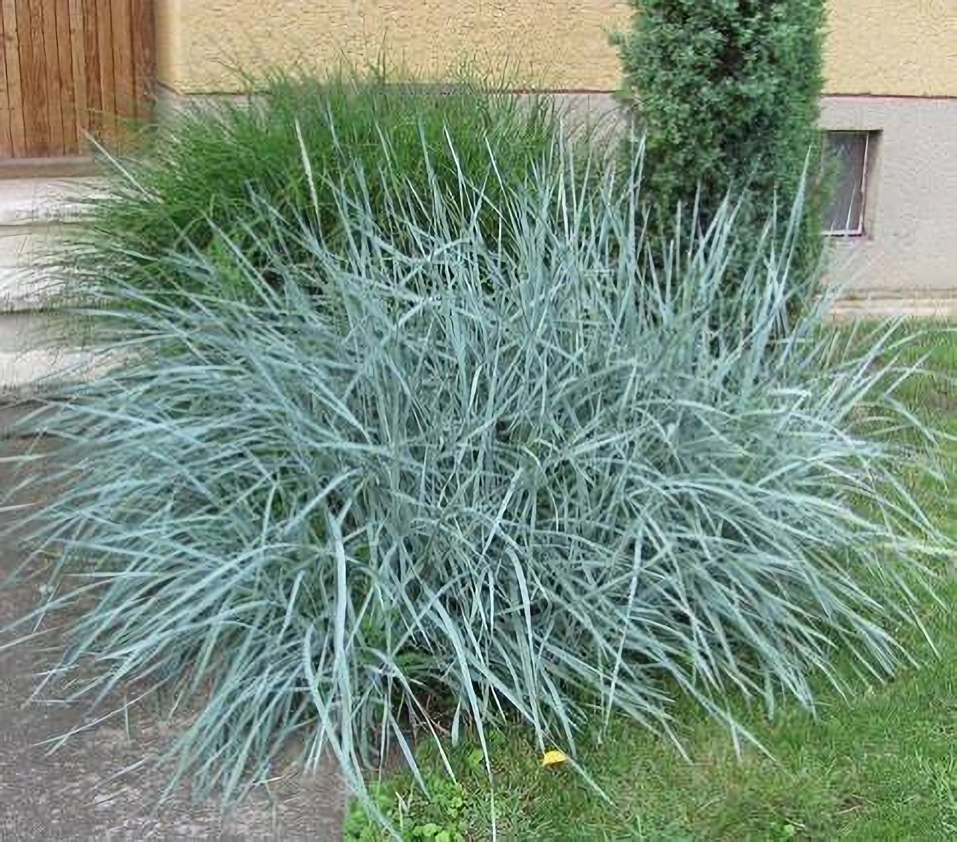 Превью изображения