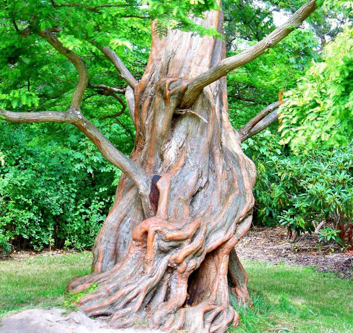 Превью изображения