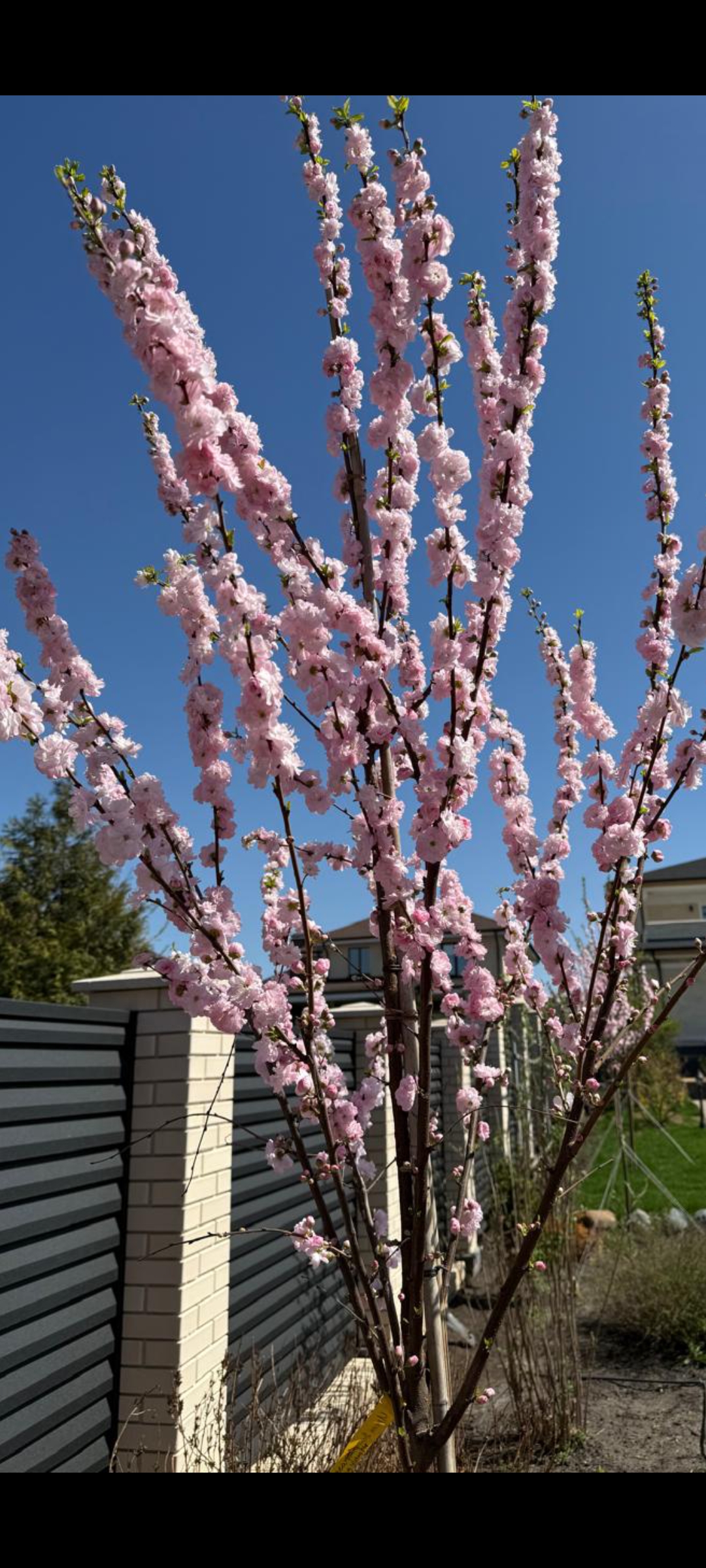 Превью изображения