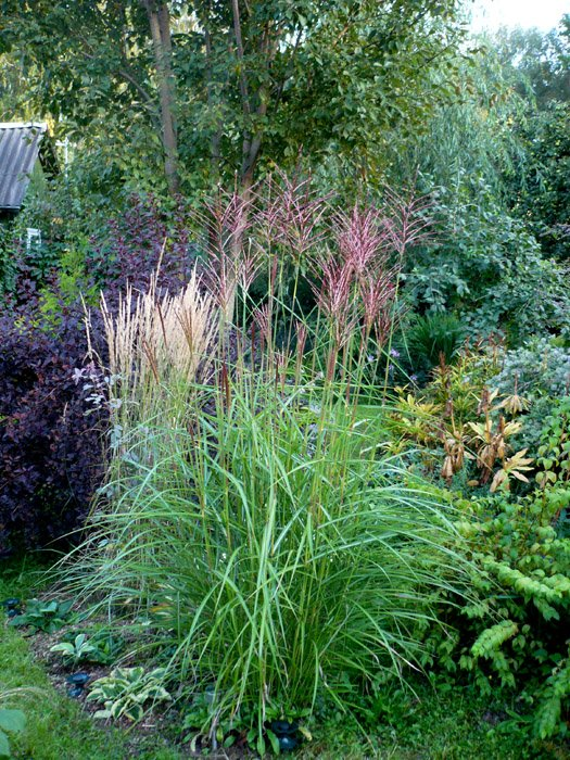 Превью изображения