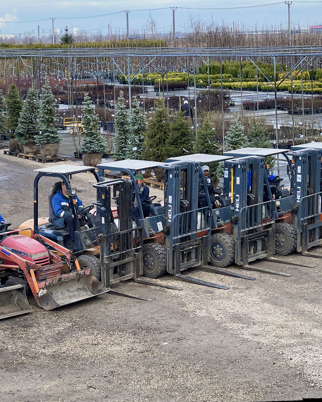 Превью изображения