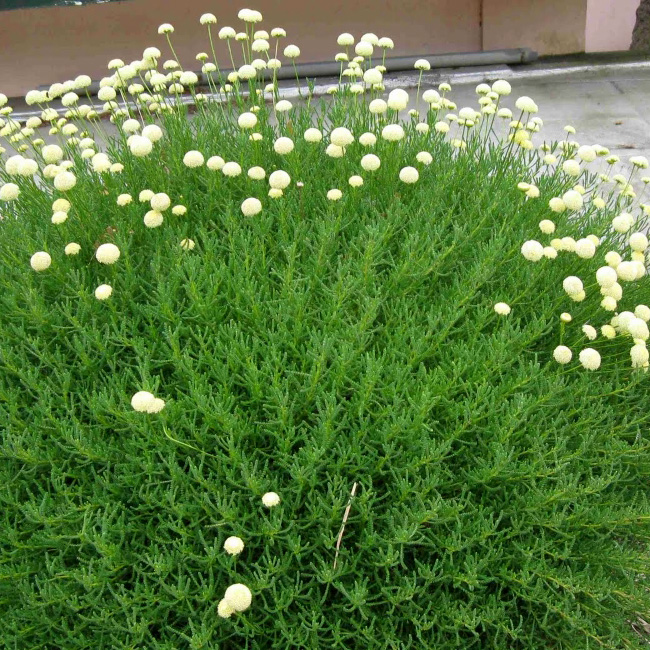 Превью изображения