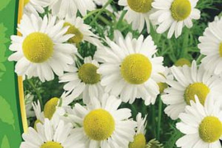 Превью изображения