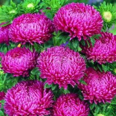 Превью изображения