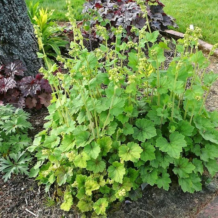 Превью изображения