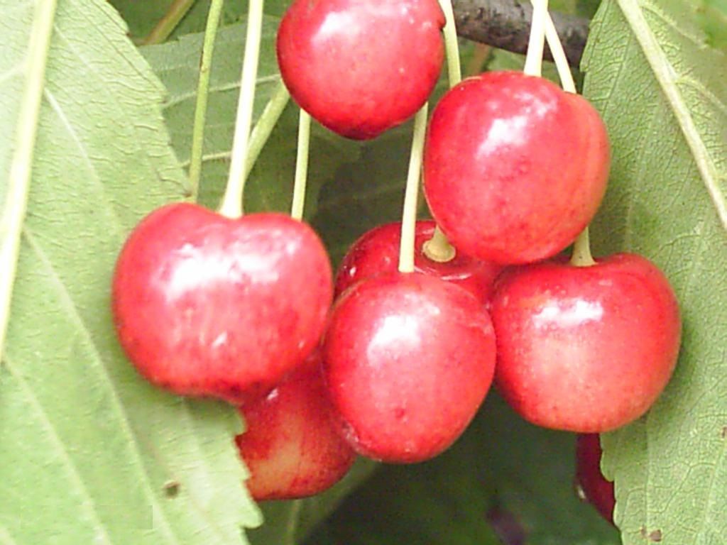 Превью изображения