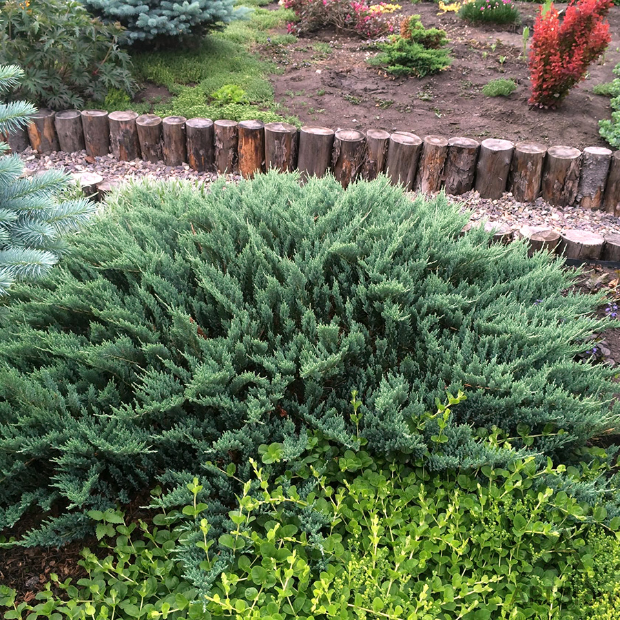 Превью изображения