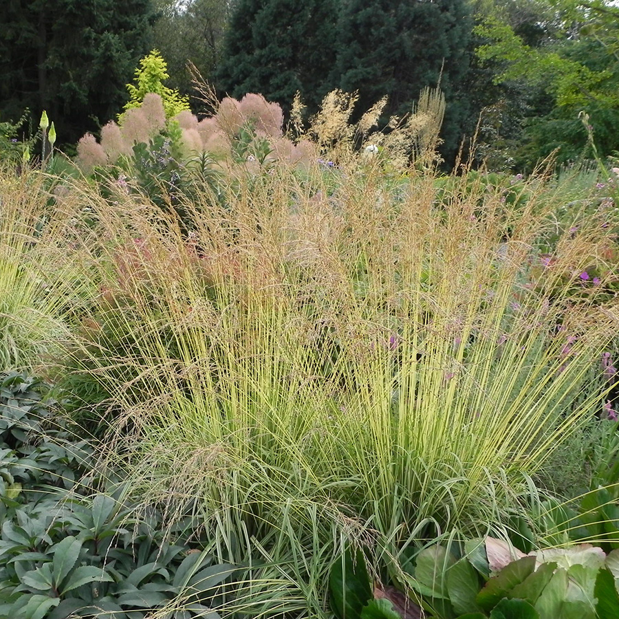 Превью изображения