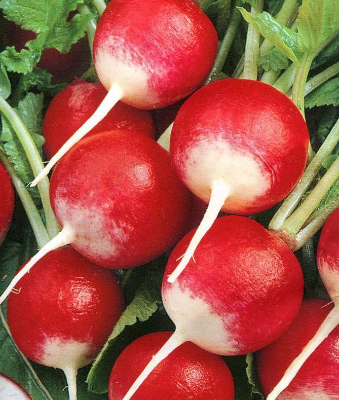 Превью изображения