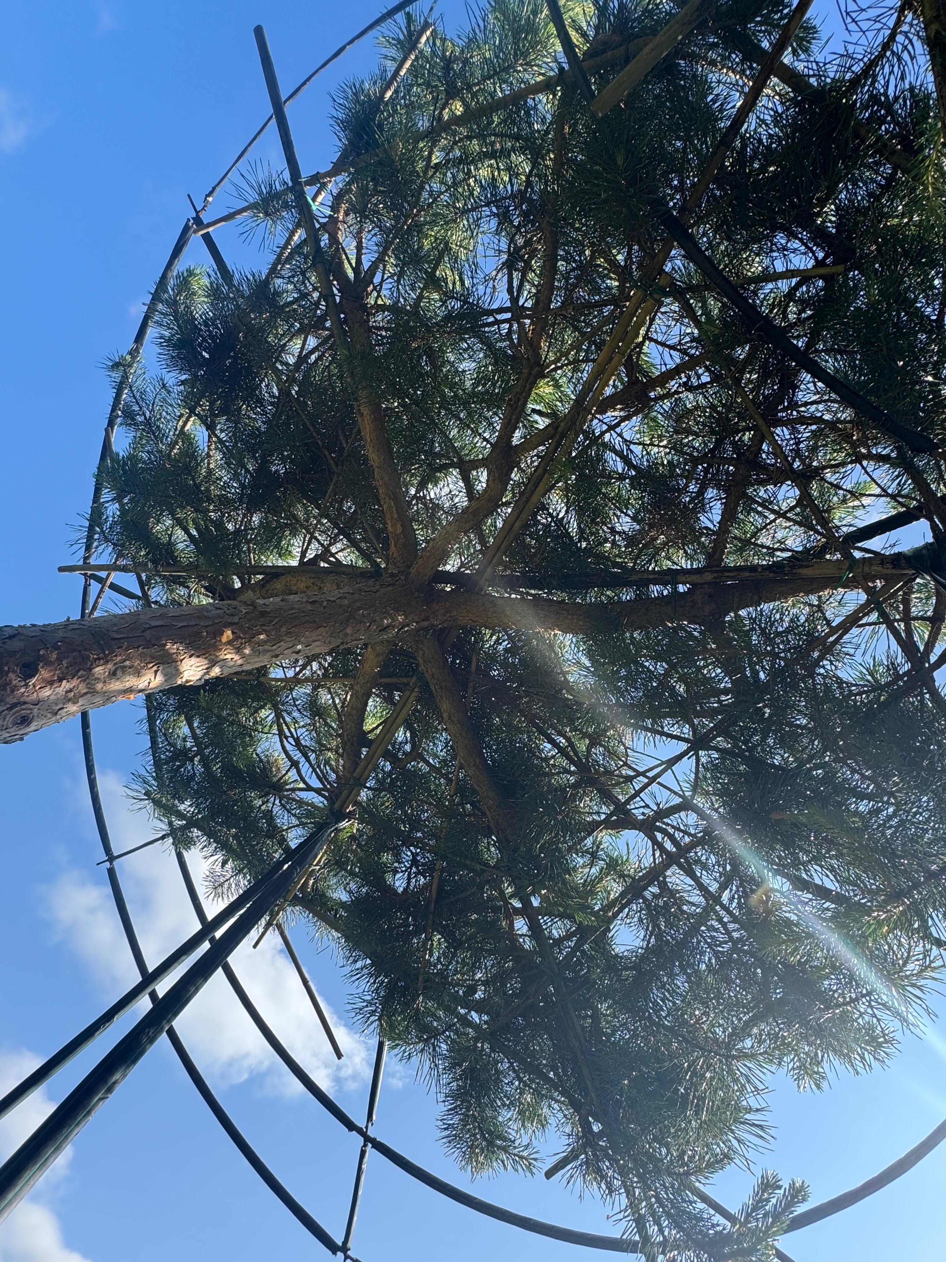 Превью изображения