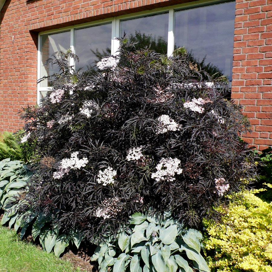 Превью изображения