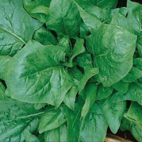 Превью изображения