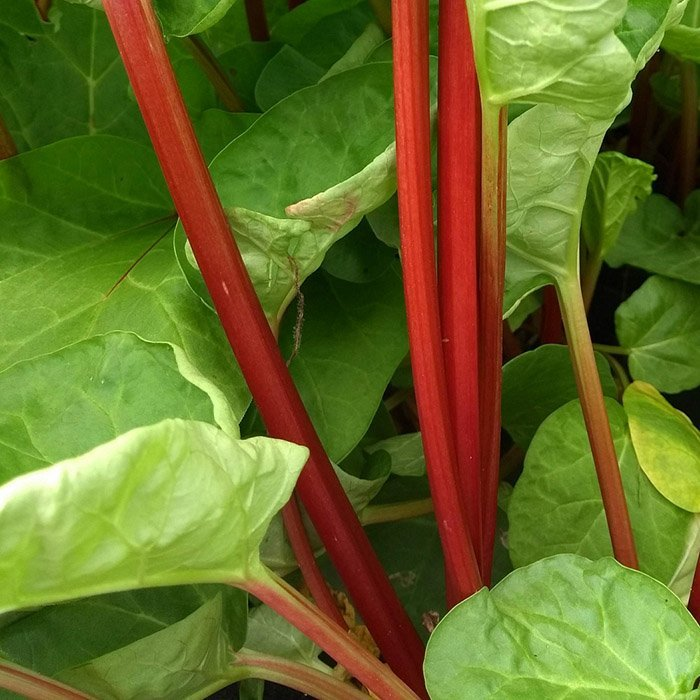 Превью изображения