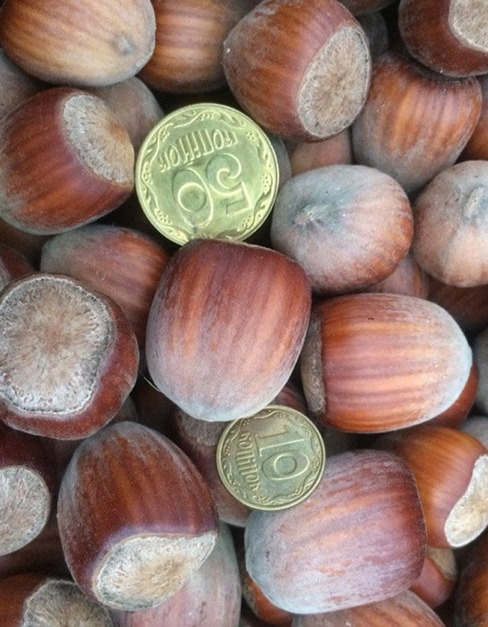 Превью изображения