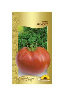 Превью изображения