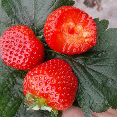 Превью изображения