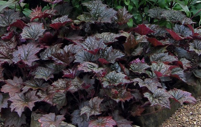 Превью изображения