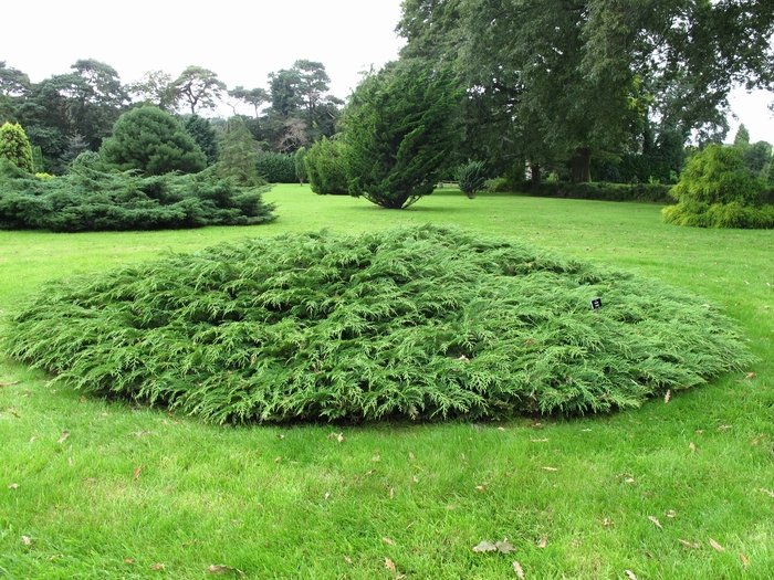 Превью изображения