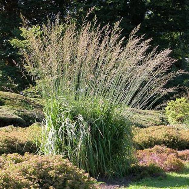 Превью изображения