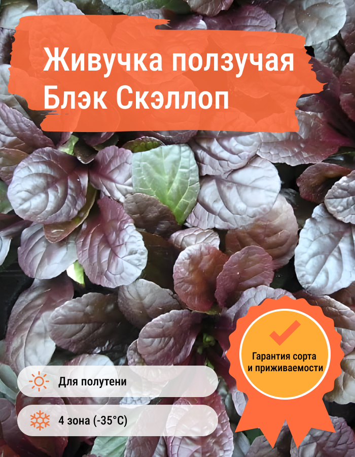 Превью изображения