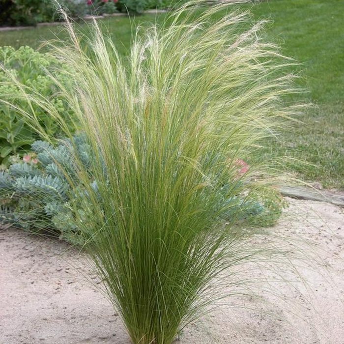 Превью изображения