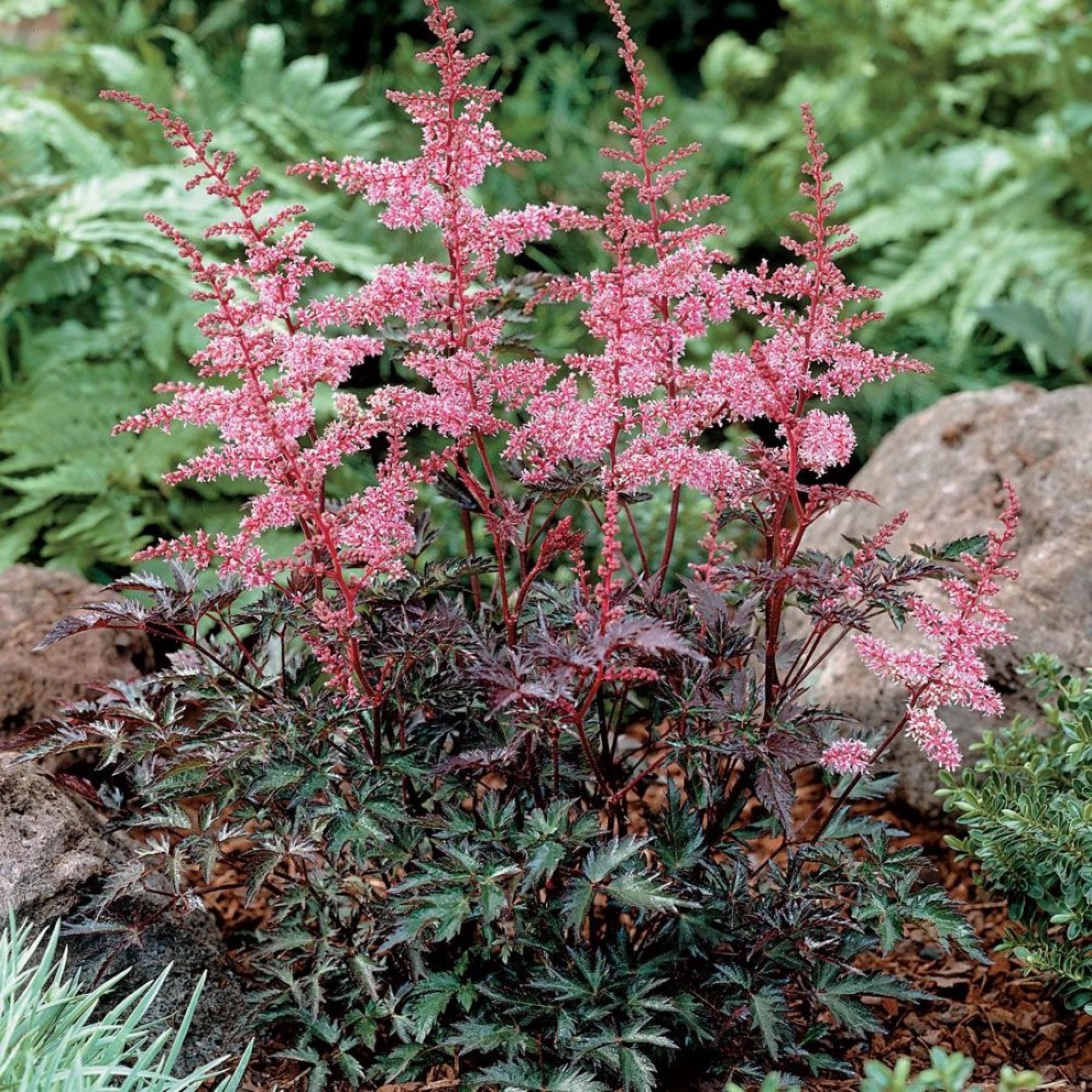 Превью изображения