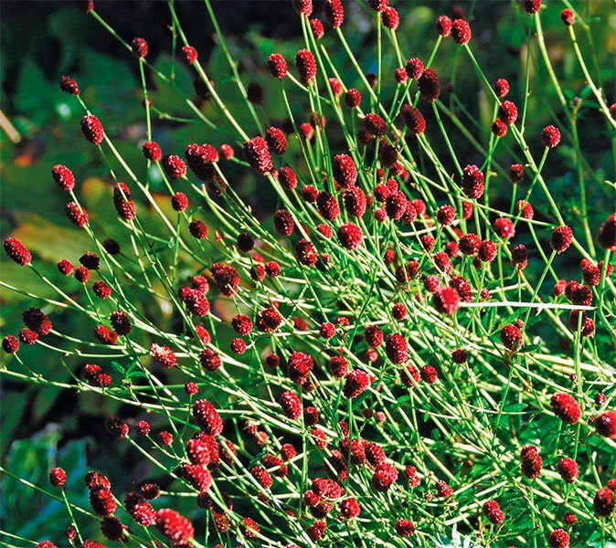 Превью изображения