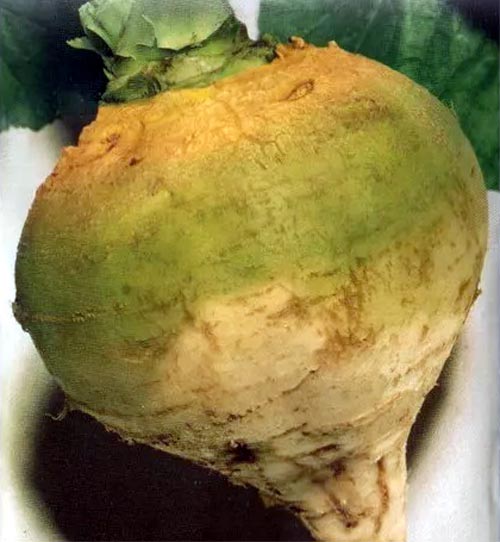 Превью изображения