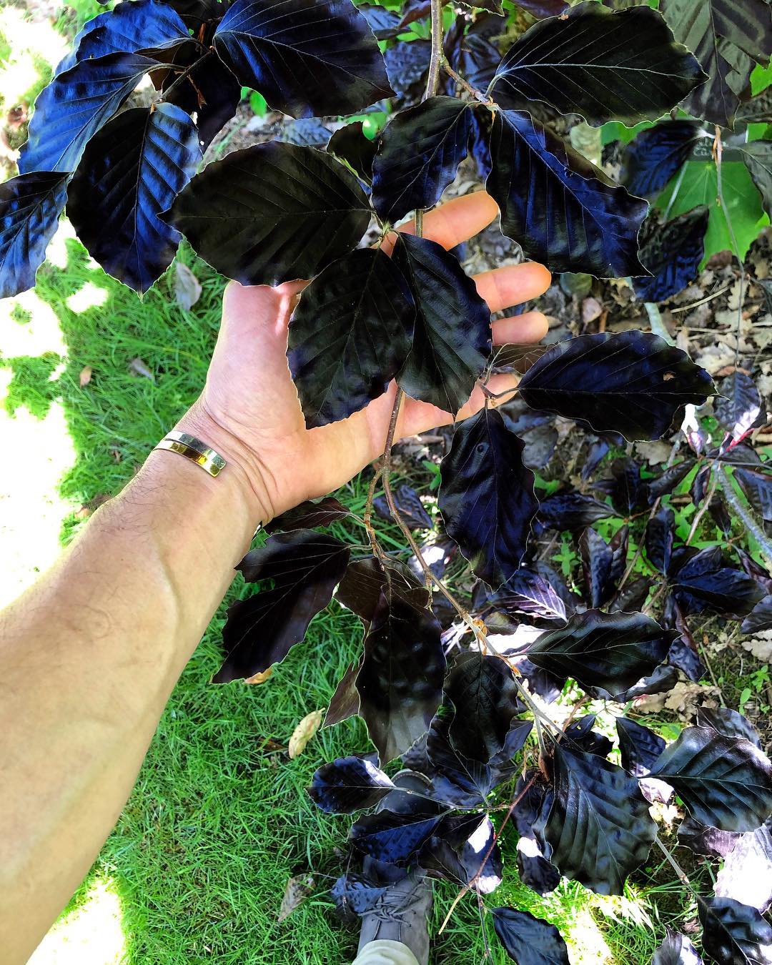 Превью изображения