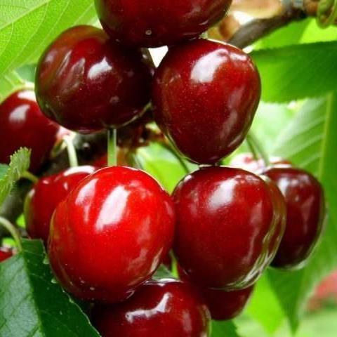 Превью изображения