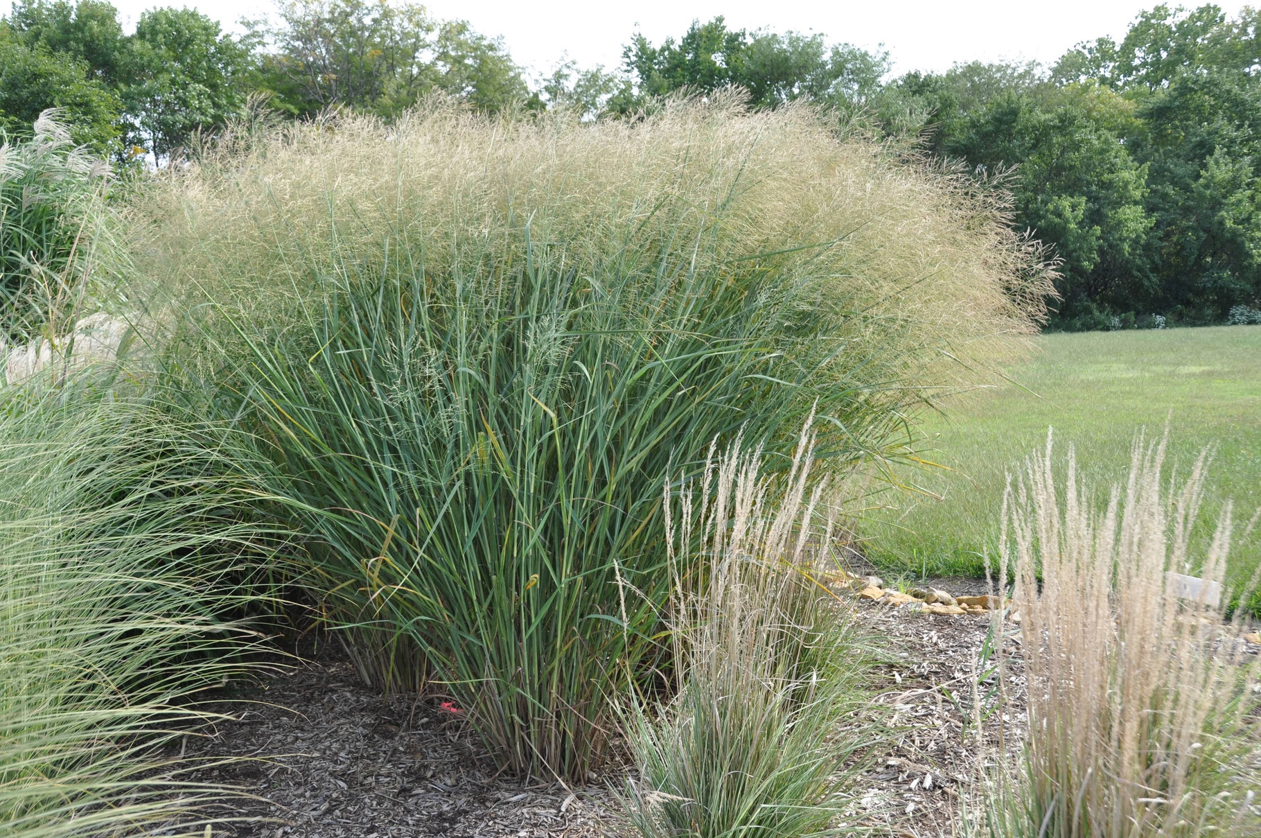 Превью изображения