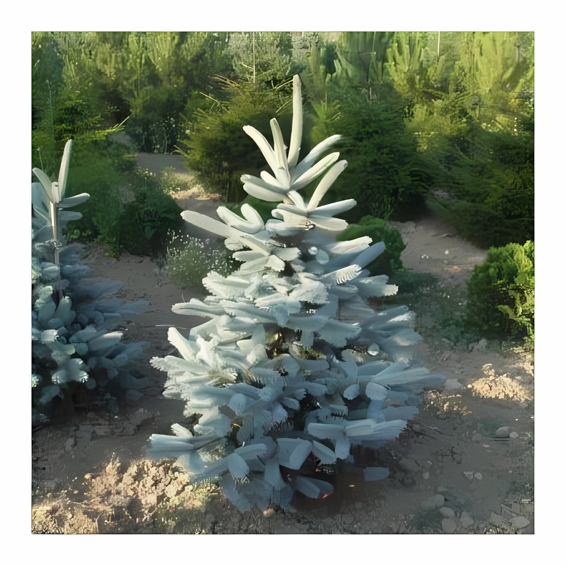 Превью изображения