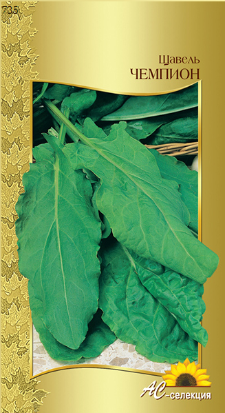 Превью изображения