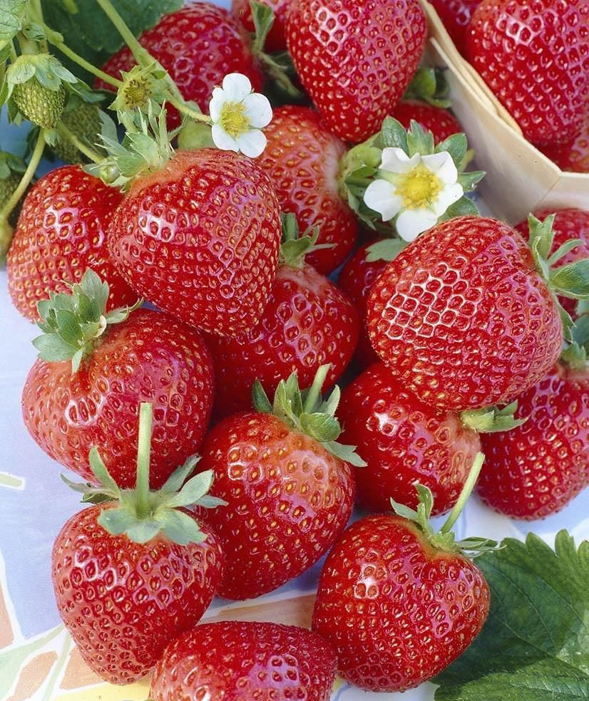 Превью изображения