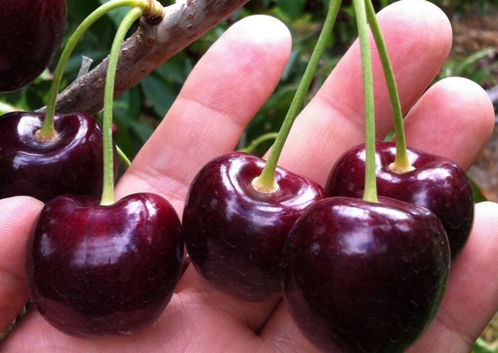 Превью изображения