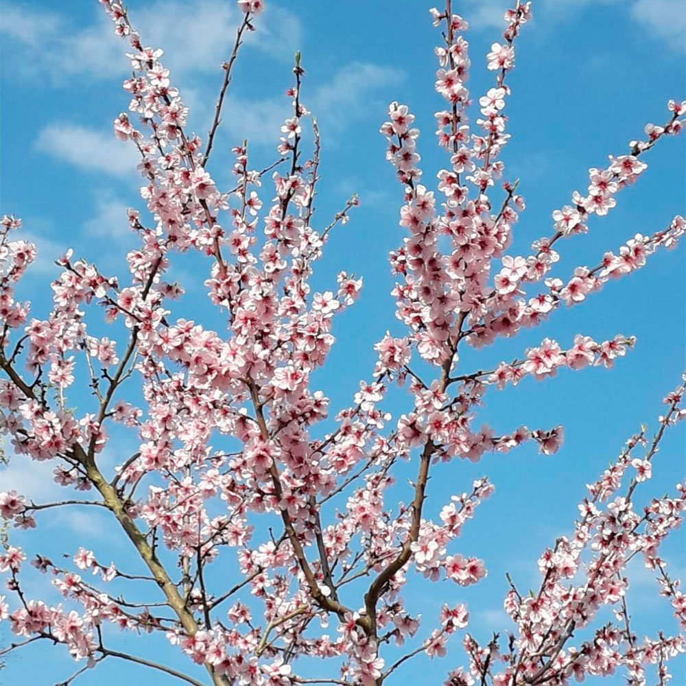 Превью изображения