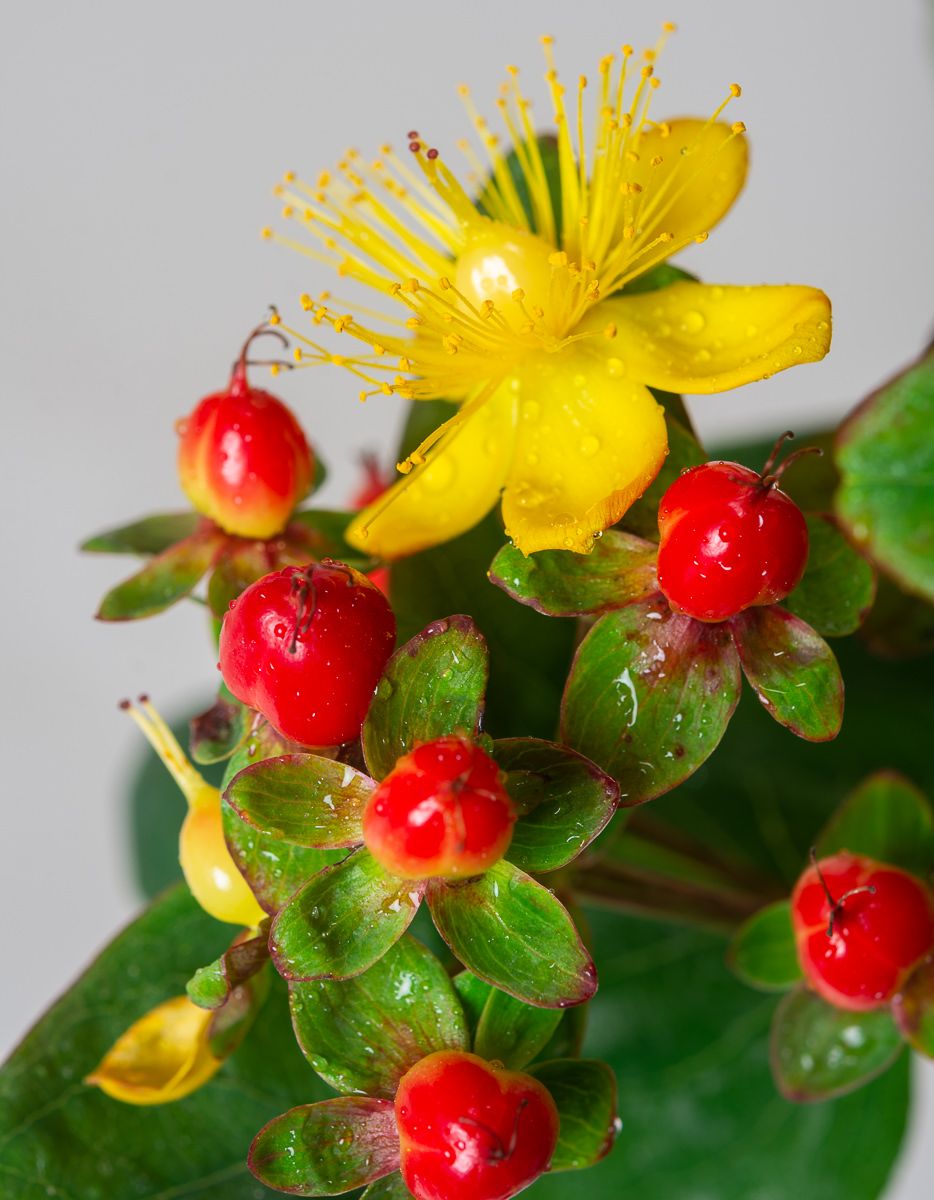 Превью изображения