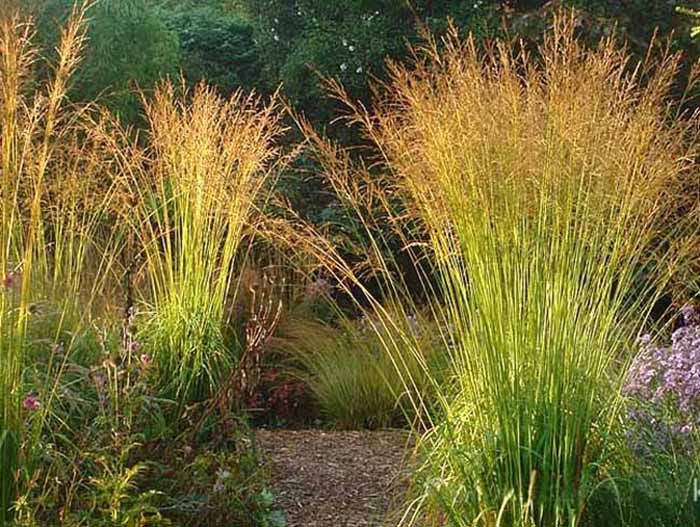 Превью изображения