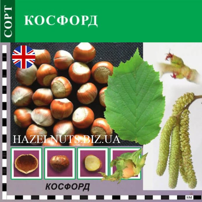 Превью изображения