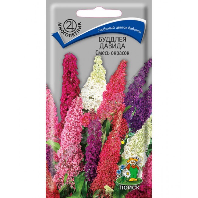 Превью изображения