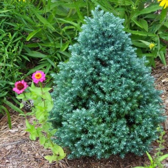 Превью изображения